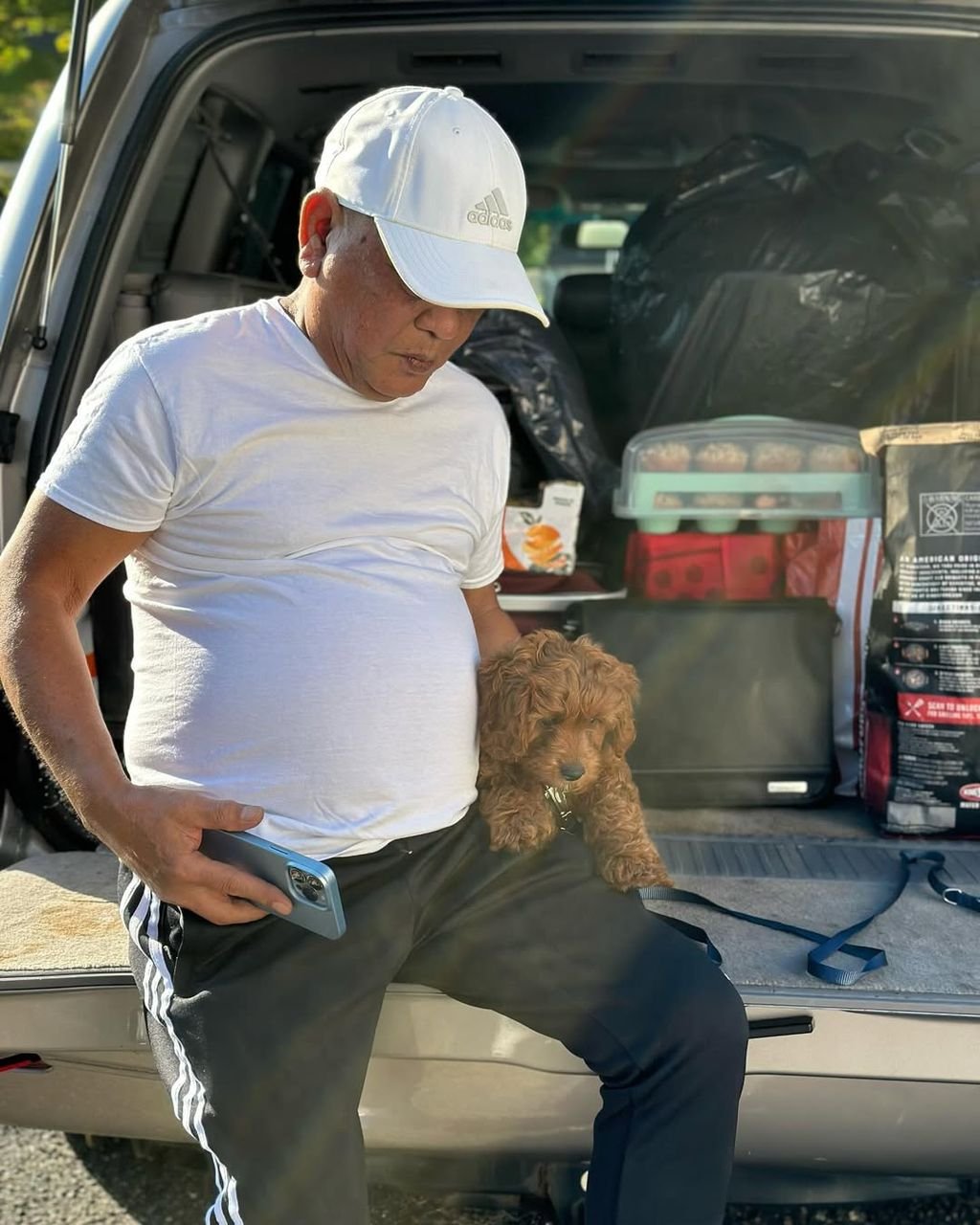 Precious Cavapoo Puppy